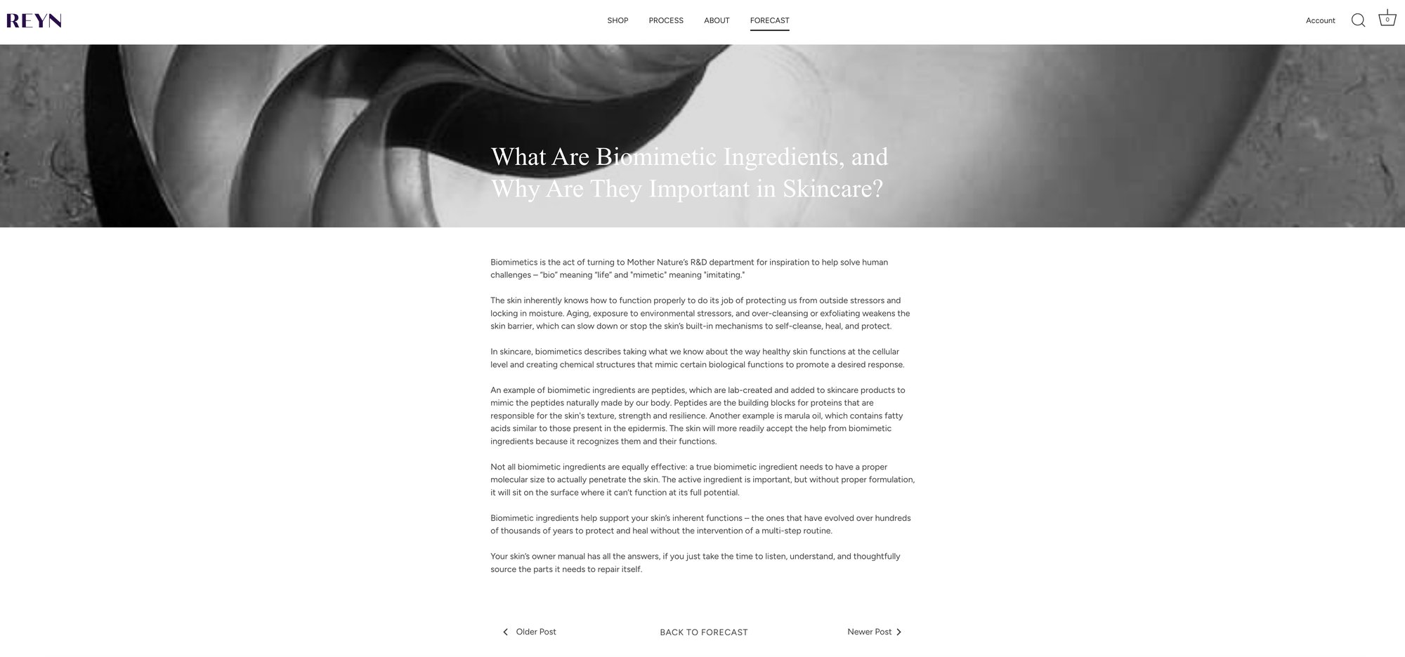 REYN Forecast blog post, What Are Biomimetic Ingredients
