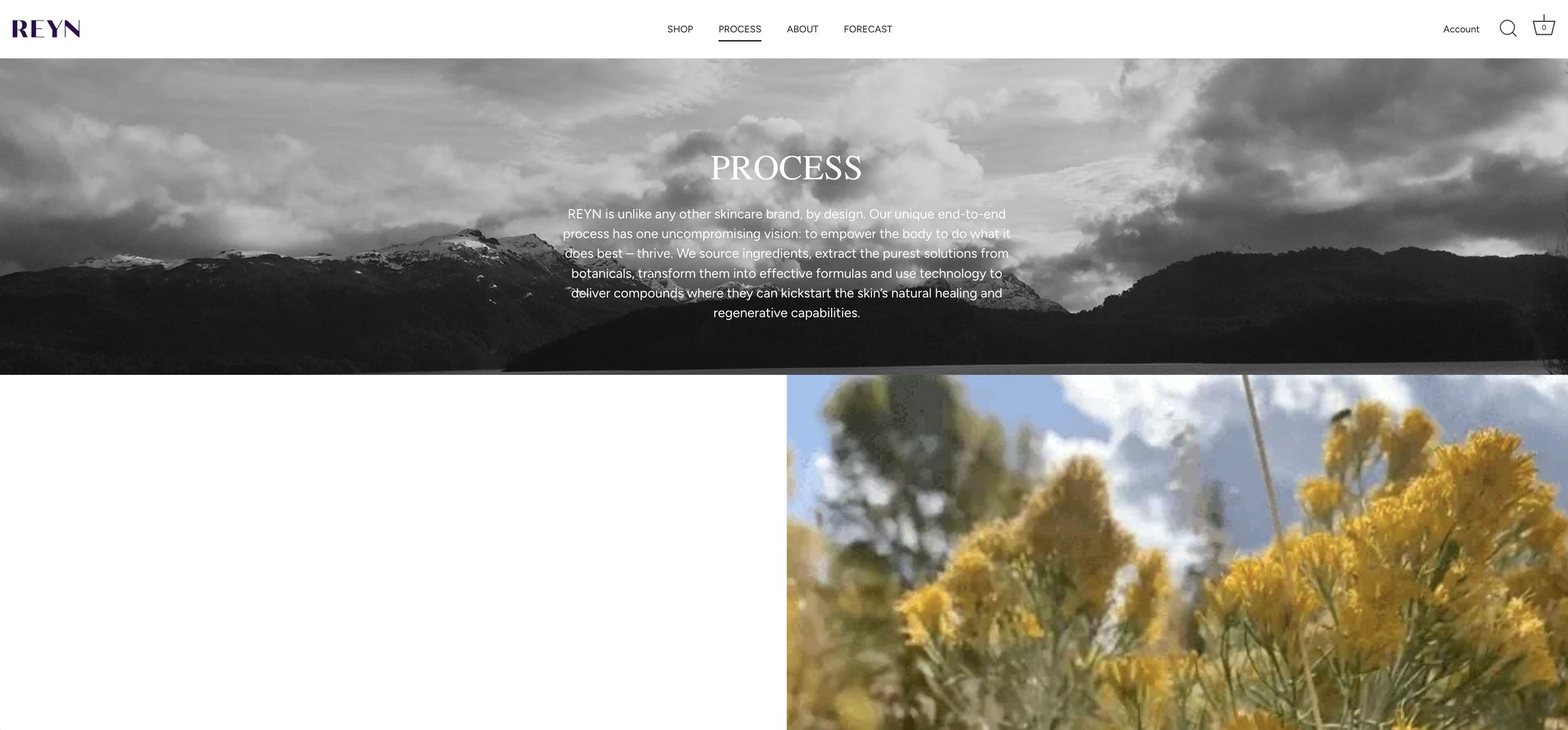 REYN Process page brand manifesto copy